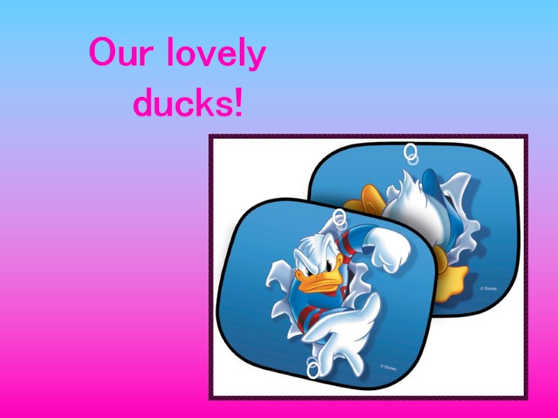 Our lovely ducks!
